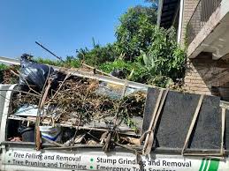 Shed Removal in Cross Plains, TN